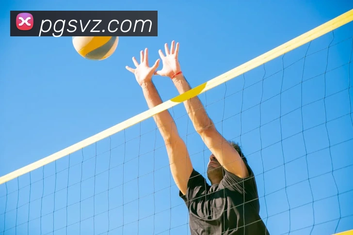 pg模拟器平台生态图